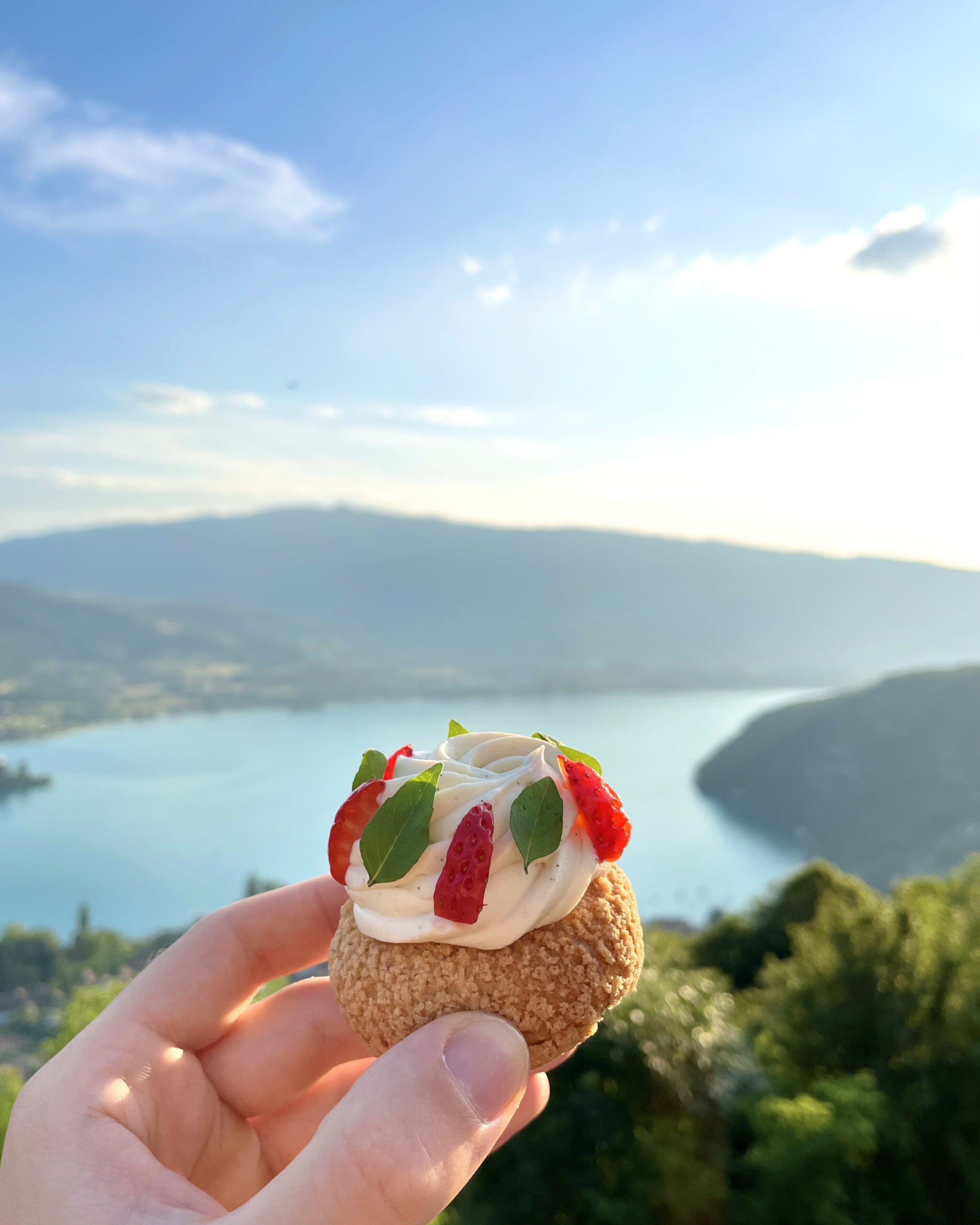 choux fraise et basilic avec vue sur le lac d'Annecy